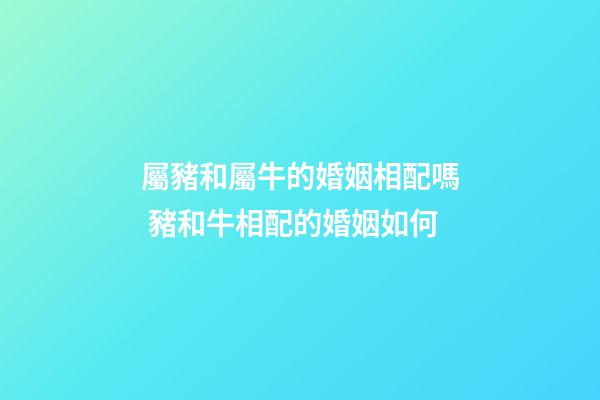 屬豬和屬牛的婚姻相配嗎 豬和牛相配的婚姻如何-第1張-觀點-玄機派